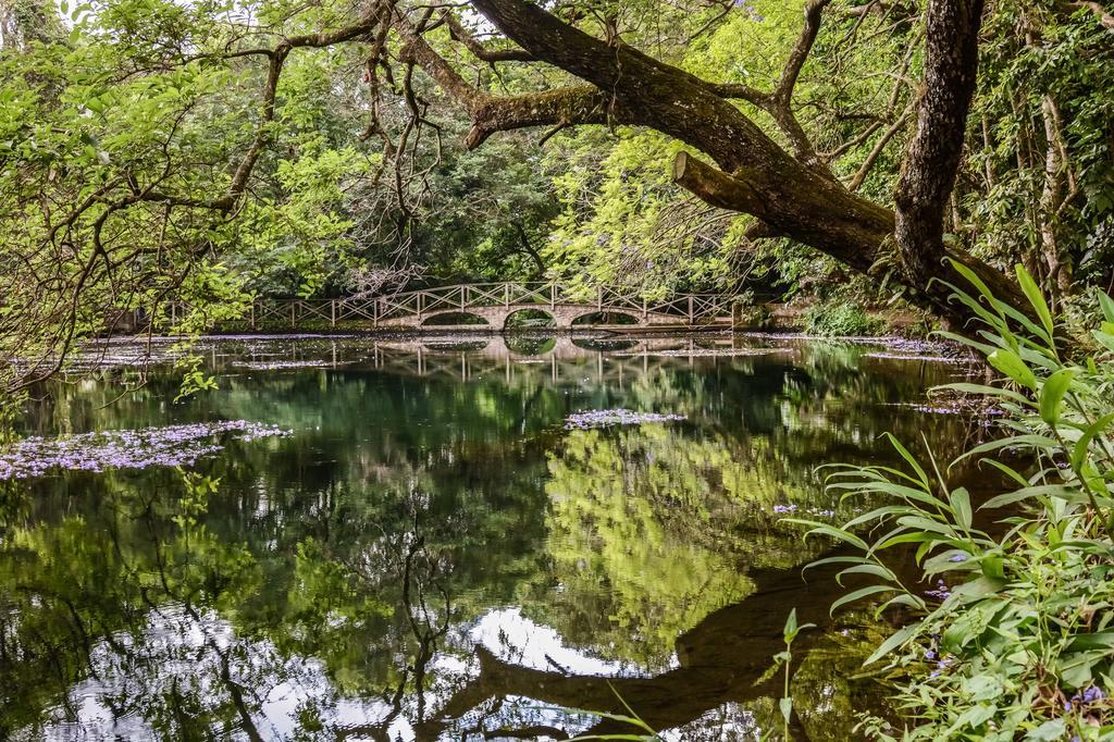 Ngare Sero Mountain Lodge Usa River Zewnętrze zdjęcie